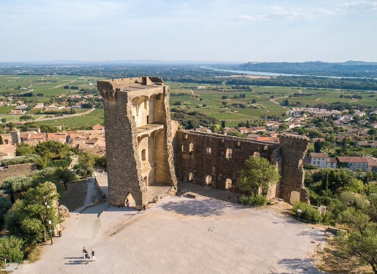 Picture 2 for Activity From Avignon: Châteauneuf du Pape and Luberon Tour with Wine