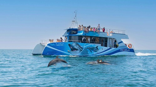 Lagos: Crucero de medio día para avistar delfines y actividades acuáticas