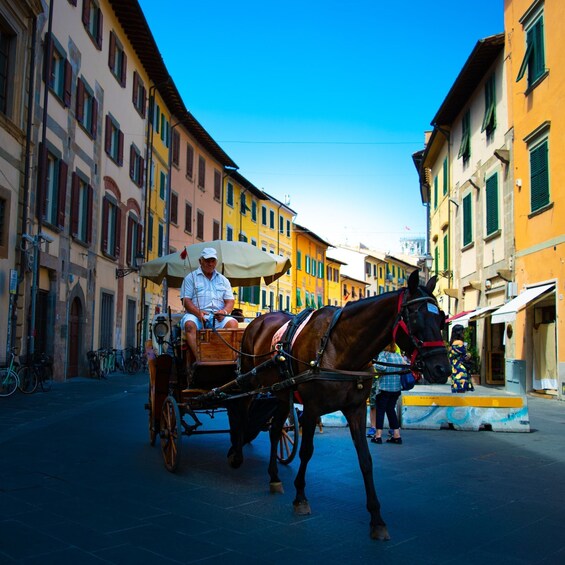 Picture 4 for Activity Pisa: Half-Day Private Discovery Tour