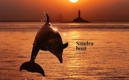 3hours Dolphin Sunset watching with unlimited drinks +dinner