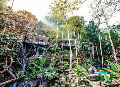 Khao Lak: Khao Sok National Park Übernachtung im Baumhaus