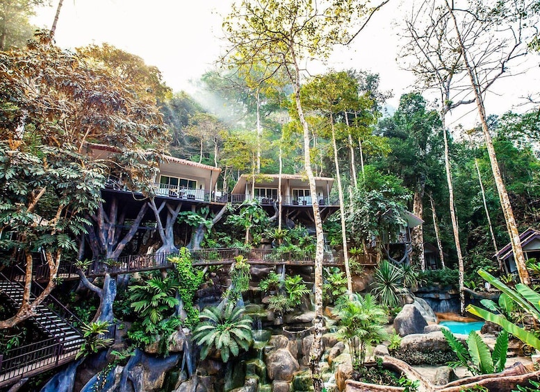 Khao Lak: Khao Sok National Park Overnight Treehouse Trip