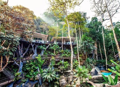 Khao Lak: Træhustur med overnatning i Khao Sok Nationalpark