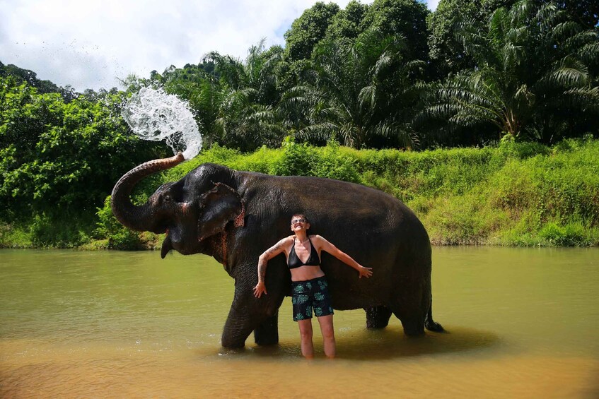 Picture 3 for Activity Khao Lak: Khao Sok National Park Overnight Treehouse Trip