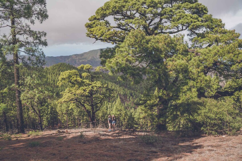 Picture 7 for Activity Gran Canaria: Full-Day Customizable Private Photography Tour