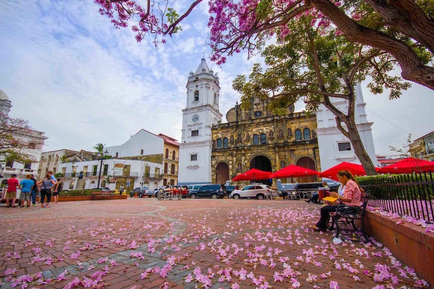 Picture 5 for Activity La Vieja, Miraflores Canal, & Casco Viejo Private City Tour