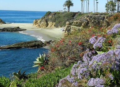 Orange County: Coastal Beach and Highlights Tour by Van