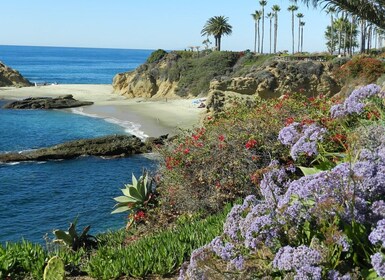 Orange County: Coastal Beach and Highlights Tour by Van