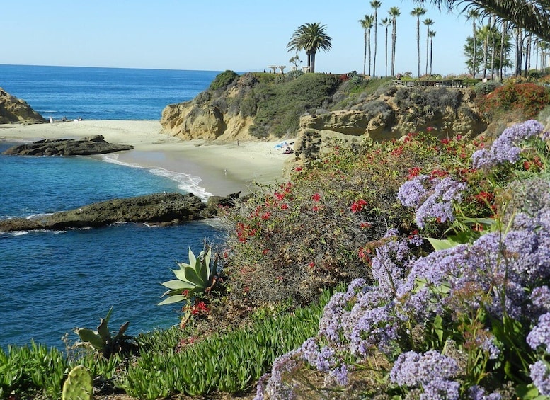 Orange County: Coastal Beach and Highlights Tour by Van