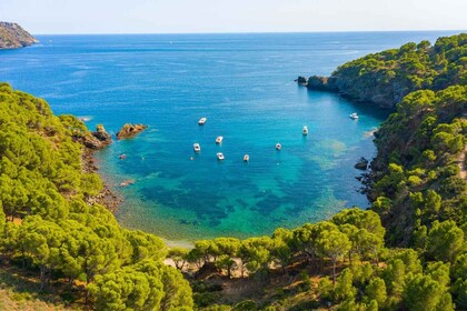 Roses: Excursión en catamarán por la Costa Brava con vistas submarinas