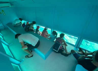Roses: viaje en catamarán por la Costa Brava con vistas submarinas