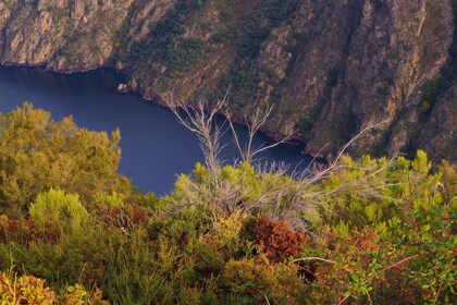 Santiago de Compostela: Galicien & die Ribeira Sacra Tagesausflug