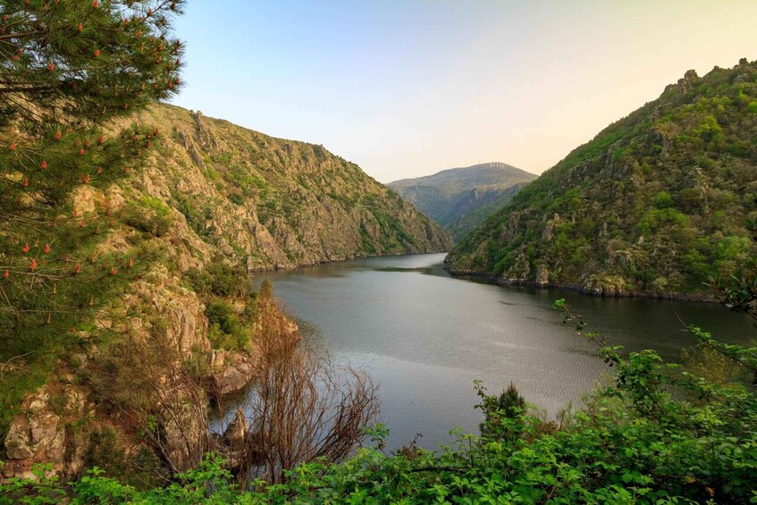 Picture 2 for Activity From Santiago: Ribeira Sacra Day Trip with Scenic Views