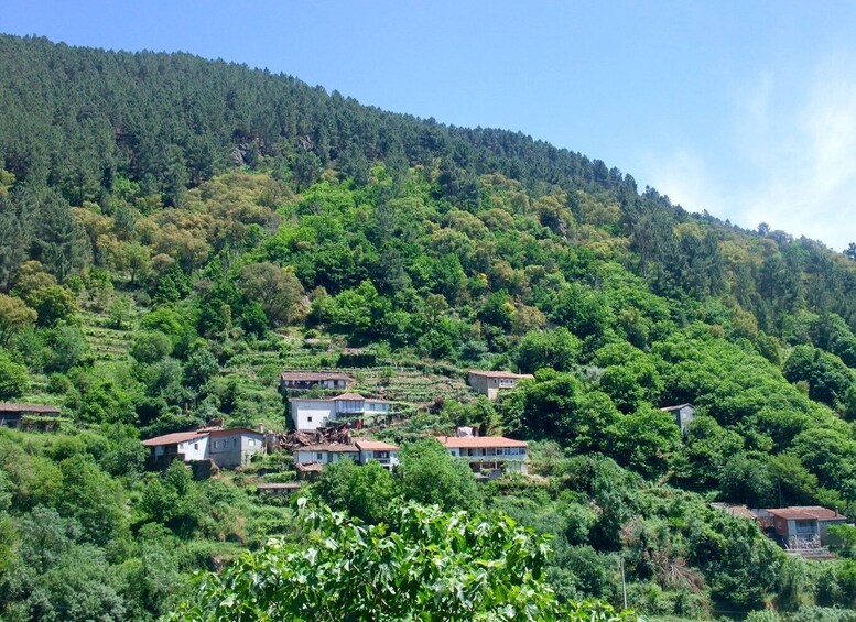 Picture 4 for Activity From Santiago: Ribeira Sacra Day Trip with Scenic Views