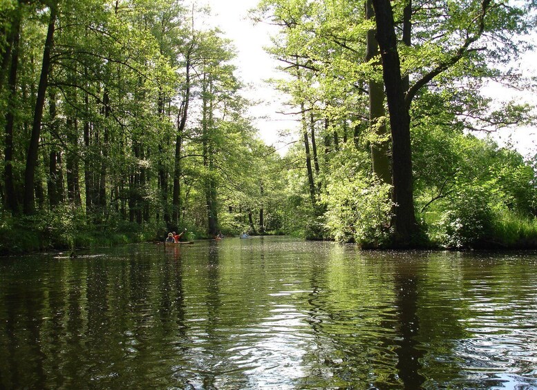 Picture 3 for Activity Leipzig: Riverside Forest Tour on the Pleiße