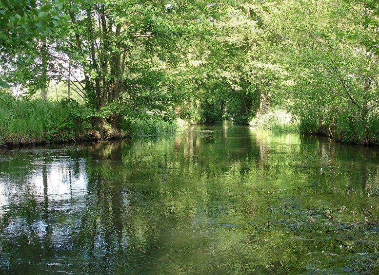 Picture 5 for Activity Leipzig: Riverside Forest Tour on the Pleiße