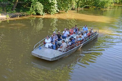 Leipzig : Visite de la forêt riveraine sur la Pleiße