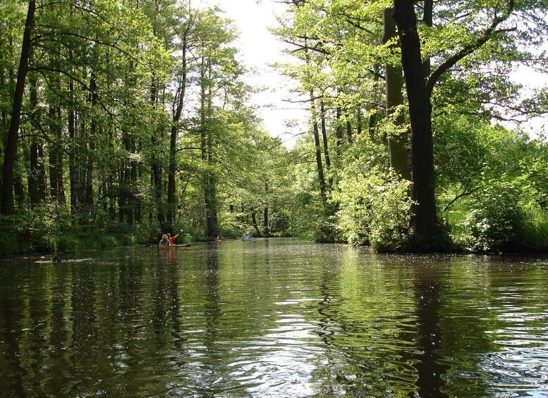 Picture 3 for Activity Leipzig: Riverside Forest Tour on the Pleiße