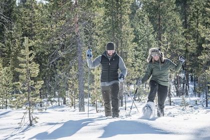 Von Rovaniemi aus: Schneeschuhwandern in Lappland