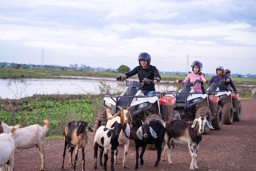 Picture 4 for Activity Siem Reap: Khmer Village and Crocodile Farm ATV Tour