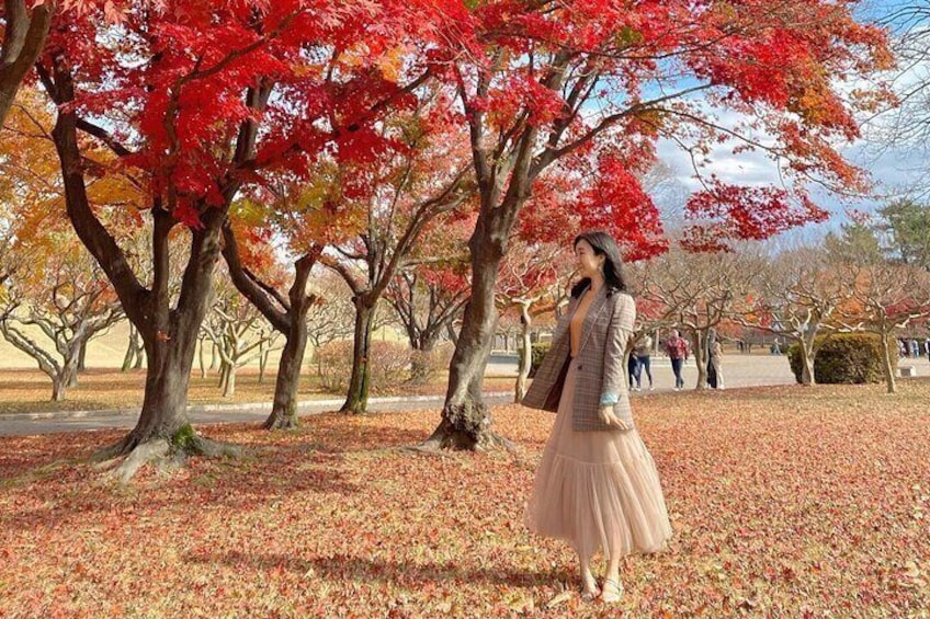 Daereungwon ( Autumn Season )