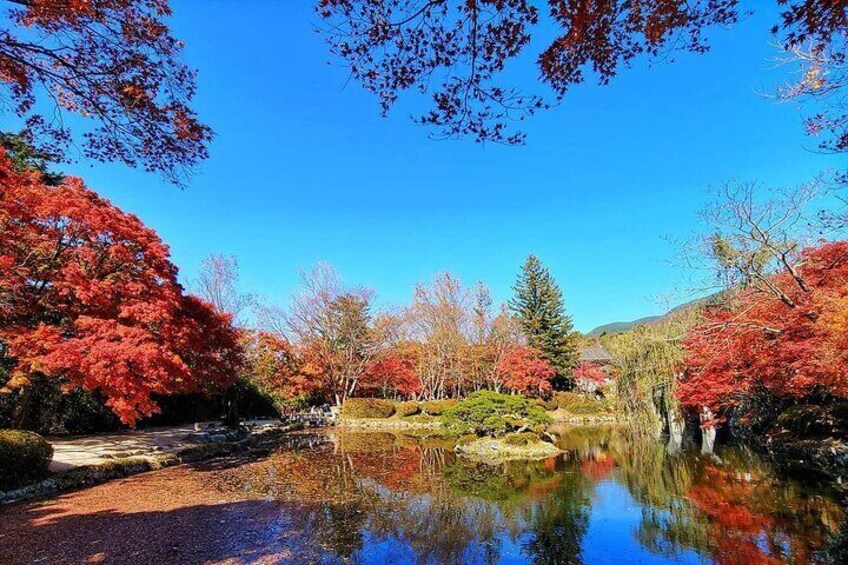 Bulguksa Temple ( Autumn Season )