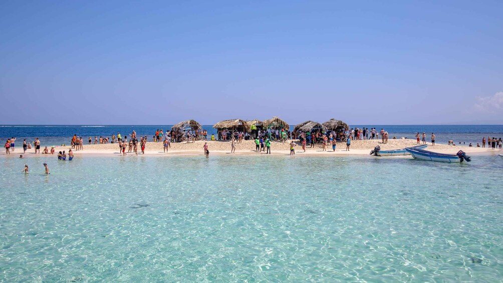 Picture 5 for Activity Puerto Plata: Day Trip to Cayo Arena Island by Speedboat
