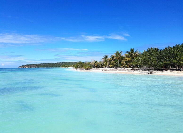 Picture 2 for Activity Puerto Plata: Day Trip to Cayo Arena Island by Speedboat