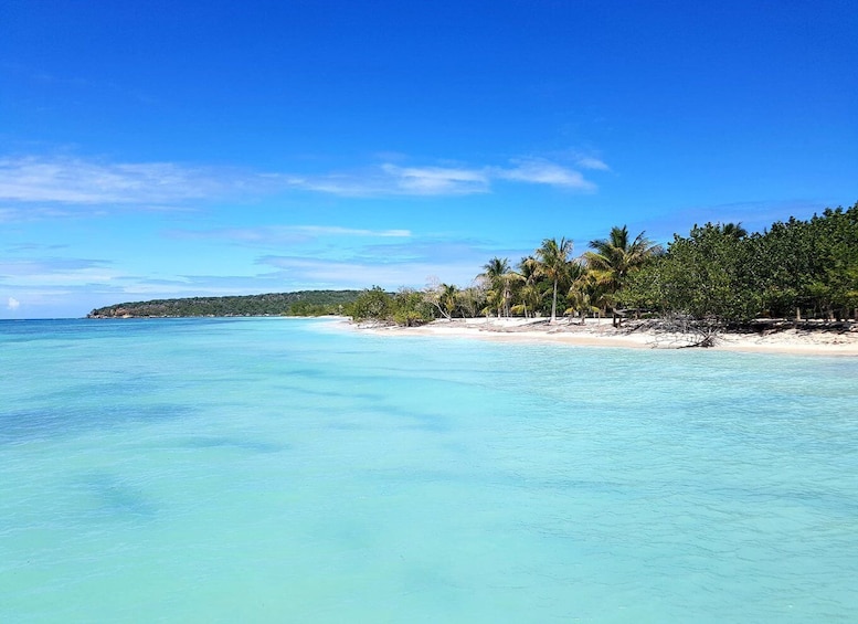 Picture 2 for Activity Puerto Plata: Day Trip to Cayo Arena Island by Speedboat