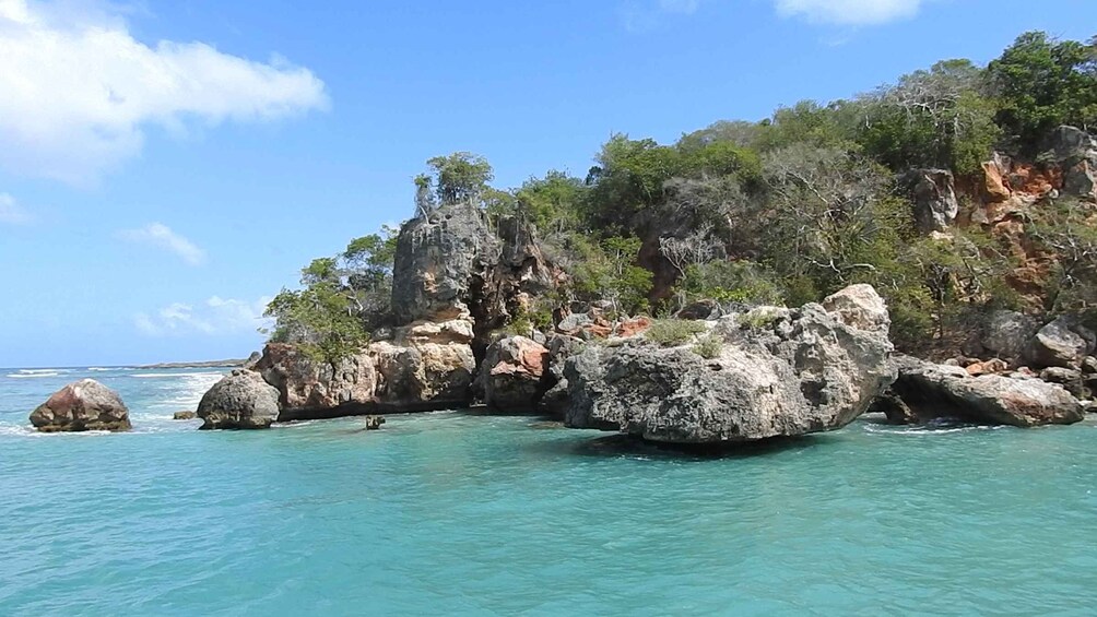 Picture 4 for Activity Puerto Plata: Day Trip to Cayo Arena Island by Speedboat