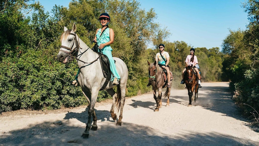 Mallorca: Horseback Riding Excursion and Wine Tasting