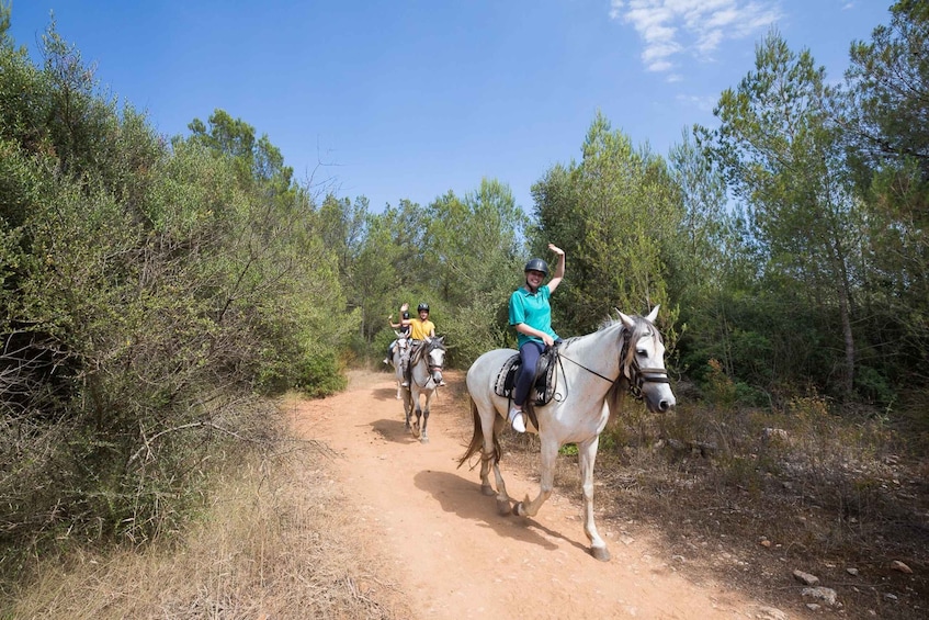 Picture 4 for Activity Mallorca: Horseback Riding Excursion and Wine Tasting