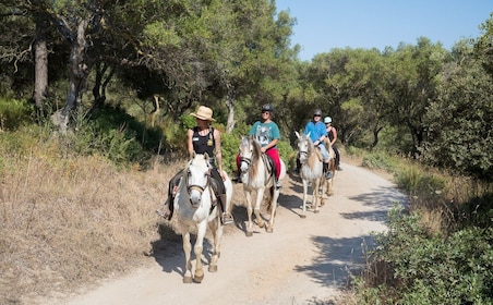 Mallorca: Excursie paardrijden en wijnproeven
