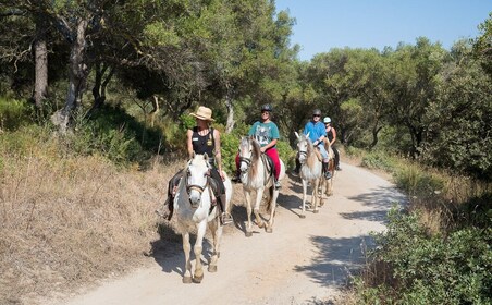 Mallorca: excursión a caballo y degustación de vinos