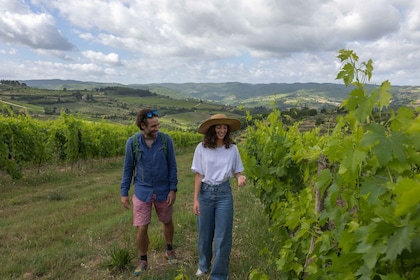 ฟลอเรนซ์: Tuscany & Chianti Classico Trek & Wine พร้อมอาหารกลางวัน