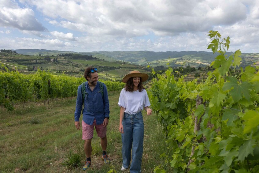 Picture 1 for Activity Florence: Tuscany & Chianti Classico Wine & Hike with Lunch