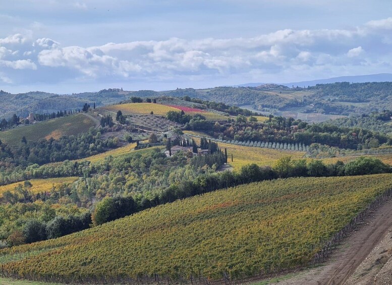 Picture 14 for Activity Florence: Tuscany & Chianti Classico Trek & Wine with Lunch