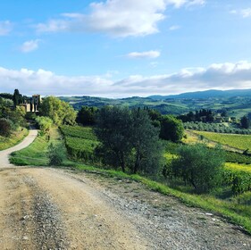 Firenze: Toscana og Chianti Classico Vin- og vandretur med lunsj