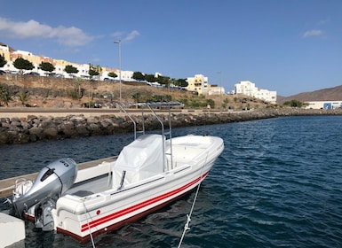 Fuerteventura: Bådudlejning uden skipper