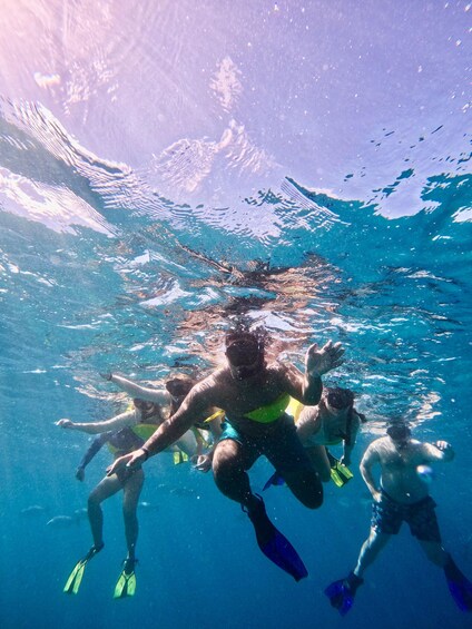 Picture 11 for Activity Oahu: Private Turtle Snorkeling with Customizable Itinerary