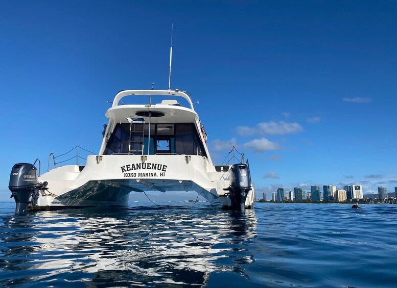 Picture 9 for Activity Oahu: Private Turtle Snorkeling with Customizable Itinerary