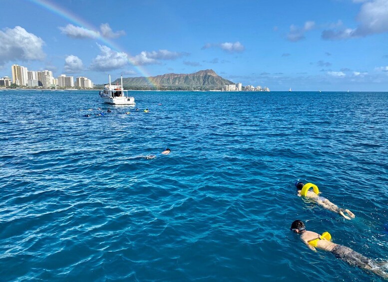 Picture 5 for Activity Oahu: Private Turtle Snorkeling with Customizable Itinerary