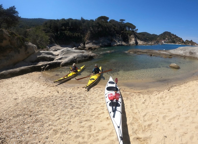 Picture 1 for Activity Marciana Marina: Elba Island Full-Day Kayaking Tour