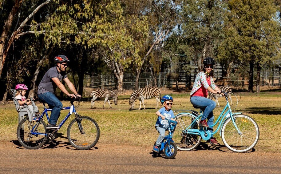 Picture 1 for Activity Dubbo: Taronga Western Plains Zoo 2-Day Entry Ticket