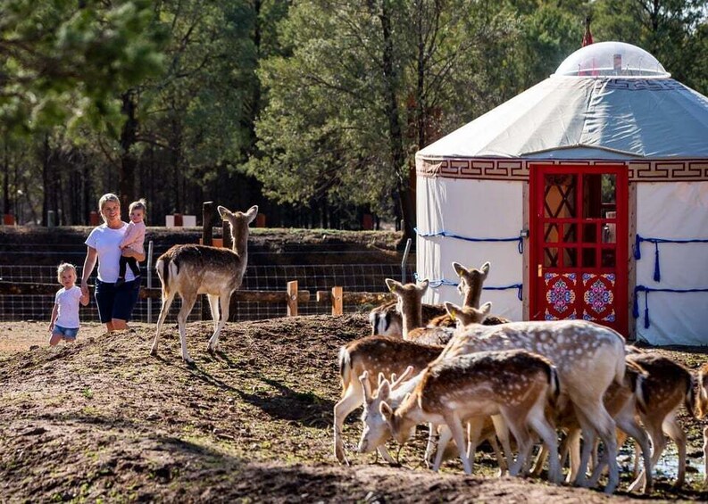 Picture 6 for Activity Dubbo: Taronga Western Plains Zoo 2-Day Entry Ticket