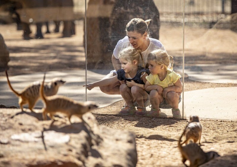 Picture 2 for Activity Dubbo: Taronga Western Plains Zoo Entry Ticket Valid 2 Days