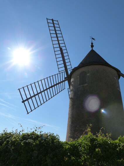 Beaujolais: Half-Day Wine Tour