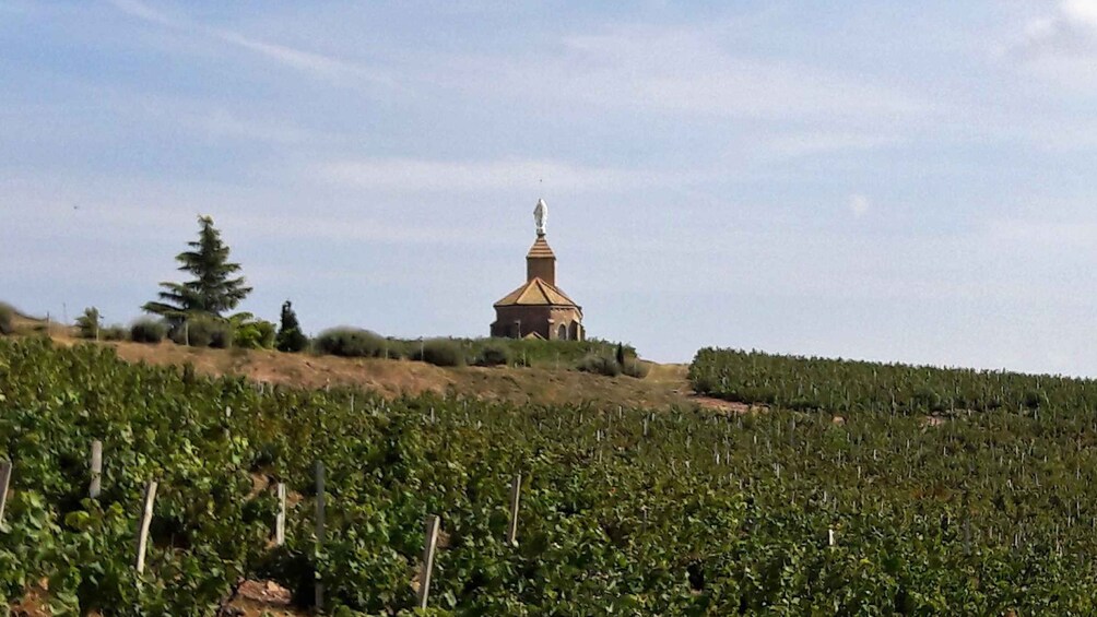 Picture 3 for Activity Beaujolais: Half-Day Wine Tour