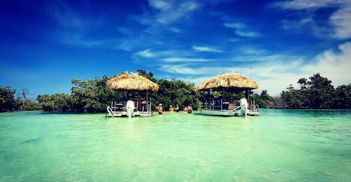 Key West : Croisière privée de 4 heures en sandbar sur un bateau Tiki Bar