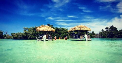 Key West : Croisière privée de 4 heures sur le Sandbar à bord d'un bateau T...